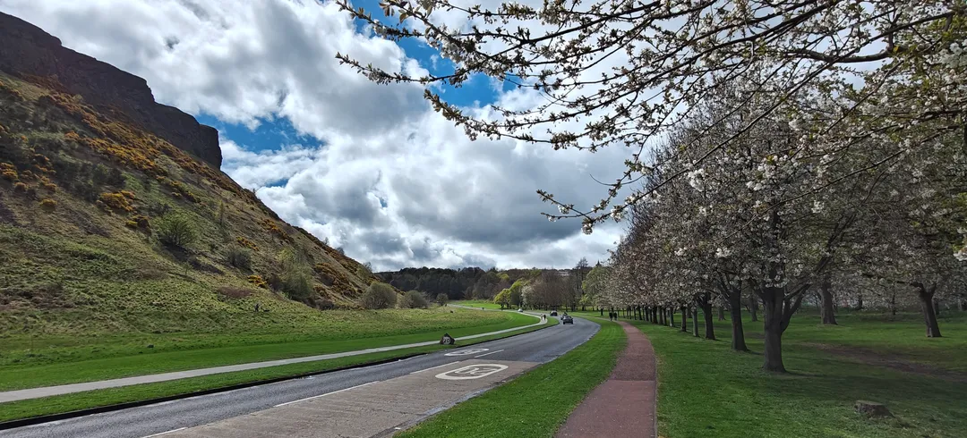 Spring blossoms below Arthur’s Seat, Edinburgh