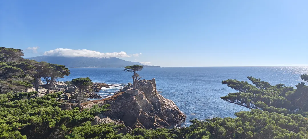 The Lone Cypress on 17-Mile Drive, Monterey
