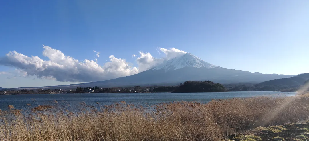 Mount Fuji over the reeds of Lake Kawaguchi