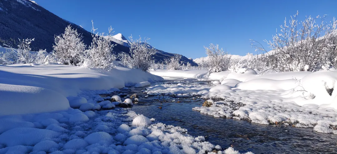 A mountain creek threading through fresh snow, Banff